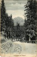 1918 Gyergyótölgyes, Tölgyes, Tulghes; Landstrasse. Siebenbürgische Karpathen / Országút / road (EM)