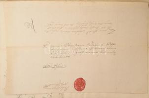 ca 1785 A kárpátaljai forgolányi Koncz családdal kapcsolatos családtörténeti iratok: nemességigazolá...