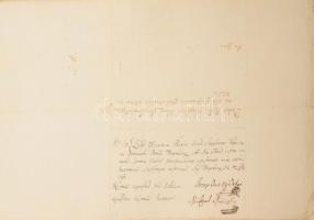 ca 1785 A kárpátaljai forgolányi Koncz családdal kapcsolatos családtörténeti iratok: nemességigazolá...