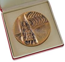 1979. "1939-1979. Lengyel menekültek Magyarországon - Czterdziesto-lencie uchodzstwa polskiego na wegrzech" kétoldalas, bronz emlékérem, dísztokban (76mm) T:AU
