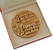 1919. "1919. Lengyel zászlóalj emlékére - WEGIERSKA REPUBLIKA RAD - PANMIECI BATALIONU POLSKIEG...