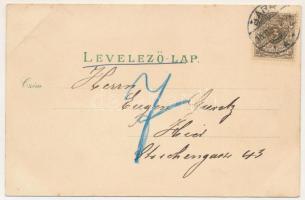 Brassó, Kronstadt, Brasov; Evang. Kirche, Rathaus, Marktplatz, Schlossberg, Graft. Verlag W. Hiemesc...