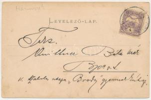 1902 Sósmező, Poiana Sarata; Rákóczi vár, Ojtozi szoros. Bogdán F. fényképész kiadása / castle, gorg...