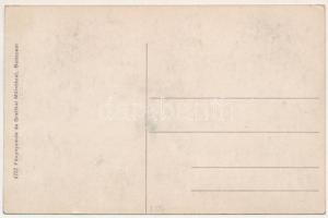 Sósmező, Poiana Sarata; Vízesés / waterfall