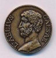 Lessenyei Márta (1930-) 1992. "L AELIVS CAESAR / PANNONIA SAVARIA MCMXCII" kétoldalas, öntött bronz emlékérem (29mm) T:AU patina