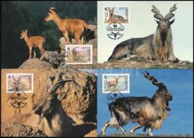 Üzbegisztán 1995 (4 db)