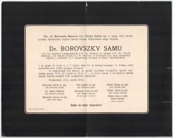 1912 Bp., Dr. Borovszky Samu (1860-1912) történész, helytörténész, az MTA levelező tagja, a Magyar Történelmi Társulat titkára, a ,,Századok" és a ,,Magyarország vármegyéi és városai" főszerkesztőjének 2 db (különböző szöveggel ellátott) halotti értesítője, kisebb lapszéli sérülésekkel, 23,5x29,5 cm