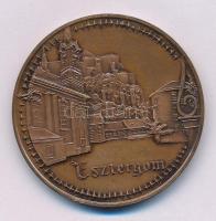 1992. "Esztergom / 25 éves az Érmegyűjtők Esztergomi csoportja - száz éves a fillér" bronz...