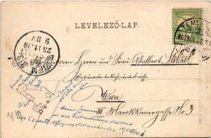 1900 Temesvár, Timisoara; Gyárvárosi Béga részlet, fürdőzők. Polatsek-féle könyvkereskedés kiadása /...