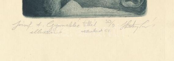 Hartung Sándor (1962- ): József Attila, Gyermekké tettél. Rézkarc, papír, jelzett, számozott: 030/9 ...