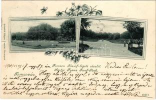 1901 Temesvár, Timisoara; Ferenc József ligeti részlet. Schmidt Edgar kiadása. A képeslap címzettje makói és geleji Makay Emil pénzügyőri felügyelő / Franz Josef-Park / park. Art Nouveau, floral (szakadás / tear)