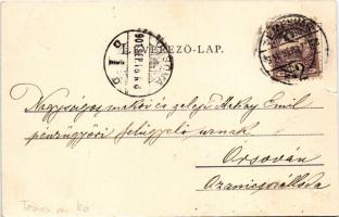 1901 Temesvár, Timisoara; Ferenc József ligeti részlet. Schmidt Edgar kiadása. A képeslap címzettje ...