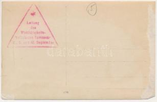 Temesvár, Timisoara; Ganz Südungarn feiert am 8,9, und 10 September auf 3 Tage kehren die glückliche...