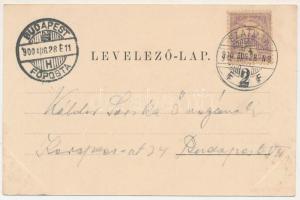 1900 Szatmárnémeti, Satu Mare; Szatmár város látképe. Löwy M. kiadása / general view. Art Nouveau, f...