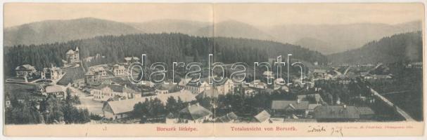 1900 Borszék, Borsec; látkép, nyaralók. Soós kiadása, 2-részes kihajtható panorámalap / general view, villas. 2-tiled folding panoramacard (fl)