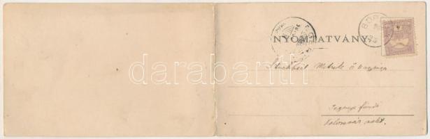 1900 Borszék, Borsec; látkép, nyaralók. Soós kiadása, 2-részes kihajtható panorámalap / general view...