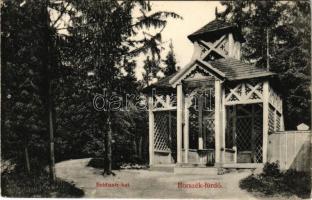 Borszék, Borsec; Boldizsár kút / mineral spring well (EK)