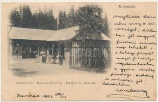 1902 Borszék, Borsec; Kossuth kút / Brunnen / Fintana / mineral water spring (fl)