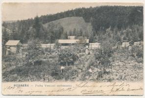 1904 Borszék, Borsec; Patka Vencel méhészete / apiary, beehives (fl)