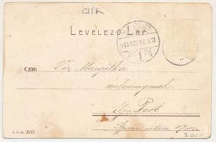 1904 Borszék, Borsec; Patka Vencel méhészete / apiary, beehives (fl)