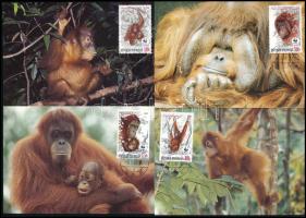 Indonézia 1989 (4 db)