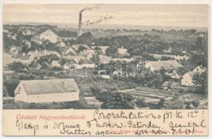 1909 Nagyszentmiklós, Sannicolau Mare; látkép. Wiener Náthán kiadása / general view (EK)