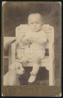 cca 1915 Gyerek játékkutyával, keményhátú fotó Zelesny Károly pécsi műterméből, 10,5×6,5 cm