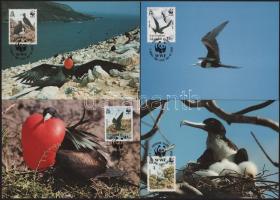 Ascension 1990 (4 db)