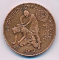 Fritz Mihály (1947-) 1994. "MÉE Székesfehérvár - Aba Sámuel és Péter" bronz emlékérem (42,5mm) T:AU patina Adamo SF23