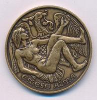 Tóth Sándor (1933-2019) 1995. "Szabolcs Szatmár-Bereg Megye - A Honfoglalás emlékére - Emese álma" kétoldalas bronz emlékérem (42,5mm) T:AU patina Adamo NH18