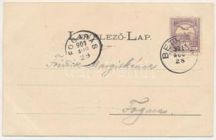 1901 Bethlen, Beclean; Gróf Bethlen Pál kastély és park. Kajári István kiadása / castle and park (EK...