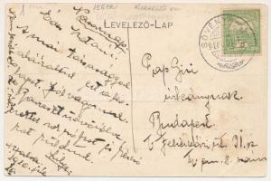 1910 Dicsőszentmárton, Tarnaveni, Diciosanmartin; Kis-Küküllő vármegye kórháza. Jeremiás Áron kiadás...