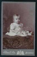 cca 1910 Babaportré, keményhátú fotó Schmidt Ede budapesti műterméből, eredeti átadótasakban, 10,5×6,5 cm