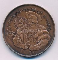 Fritz Mihály (1947-) / Szabó Géza (1939-) 1991. "II. Ulászló - 1490 - 1516 - 1526 - II. Lajos / II. Lajos ifjúkori páncélja - MÉE Fejér megyei Alba Regia Szervezete - Székesfehérvár" kétoldalas bronz emlékérem (42,5mm) T:AU patina Adamo SF17