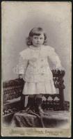1899 Kislány portréja, keményhátú fotó Waitzner budapesti műterméből, kopásnyomokkal, 15×7,5 cm