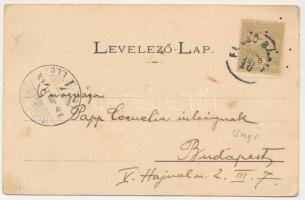 1906 Felsőbánya, Baia Sprie; Pályaudvar, vasútállomás, gőzmozdony, vonat. H. Riedl E. kiadása / rail...