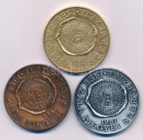 Szabolcs Péter (1942-) 1987. "MÉE Zala Megyei Szervezete / Türje 800 éves" (3x) ezüstpatinázott, bronz és aranyozott bronz kétoldalas emlékérem szett T:AU patina Adamo ZE5