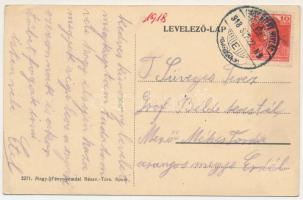 1918 Nagyszentmiklós, Sannicolau Mare; Községháza, Kiss, Wolf Mátyás üzlete / town hall, shops (ázot...