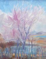 Mikus Gyula (1905 - 1996): Tavasz Becén. (Balaton, Becehegy) Olaj, farost. Jelzett. Üvegezett keretb...