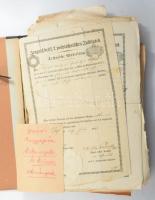 cca 1834-1945 Hoór-Tempis Móric (1867-1944) villamosmérnök, fizikus, egyetemi tanár, az MTA tagja, illetve fia, Hoór-Tempis István (1896-1946) vegyészmérnök, vasúti műszaki tanácsos családi irathagyatéka: bizonyítványok, kinevezési okmányok, anyakönyvi kivonatok/keresztlevelek (másolatok), Hoór-Tempis István családtörténeti feljegyzései, vegyészmérnöki oklevele (több darabra szakadt), Hoór-Tempis Móric halotti anyakönyvi kivonata, egyéb hivatalos okiratok, stb. Egy mappányi, érdekes, átnézendő anyag, változó állapotban.