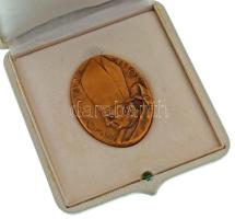 Vatikán 1974. "Paulus VI Pont Max Anno XII / In Christi Amore Justitia et Pax (VI. Pál uralkodásának 12. évében)" bronz emlékérem eredeti tokban. Szign.: Amerigo Tot (47x34mm) T:UNC Vatican 1974. "Paulus VI Pont Max Anno XII (In the 12th year of the reign of Paul VI)" bronze commemorative medal in original case. Sign: Amerigo Tot (47x34mm) C:UNC