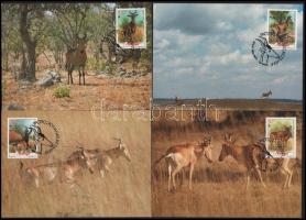 Mozambik 1991 (4 db)