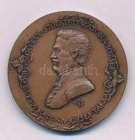 Lapis András (1942-) 1991. "200 éve született Katona József - 100 éves a Katona József Társaság / 25 éves a szervezett éremgyűjtés Kecskeméten 1991" kétoldalas bronz emlékérem (42,5mm) T:AU, patina Adamo KT2