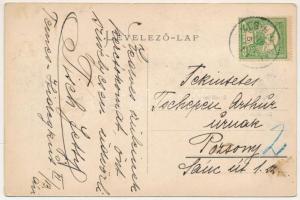 1910 Temeshidegkút, Temes-Hidegkút, Hidegkút, Sabran-Guttenbrunn, Zabrani; Staatsschule, Totalansich...