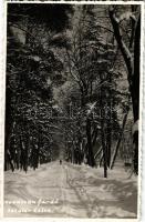 1942 Kovászna, Covasna; Sétatér télen / promenade in winter. Hadnagy Bazár photo