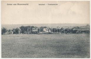 Szerdahely, Miercurea Sibiului, Mercurea, Merkurea, Mercuria, Reussmarkt; Salzbad, Totalansicht / sós fürdő, látkép. Georg Zeck kiadása, Josef Briegel felvétele / salt bath, spa