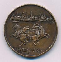 Lapis András (1942-) 1986. "MÉE XVI. Vándorgyűlése Buda visszafoglalásának 300. évfordulóján / ...