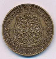 Tóth Sándor (1933-) 1994. "A hét vezér sorozat - Ond vezér" kétoldalas bronz emlékérem (42...