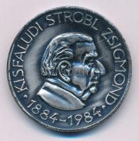 Szabolcs Péter (1942-) 1984. "MÉE Zala megye / Kisfaludi Strobl Zsigmond" ezüstpatinázott bronz emlékérem (42,5mm) T:AU Adamo ZE1