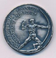 Szabolcs Péter (1942-) 1984. "MÉE Zala megye / Kisfaludi Strobl Zsigmond" ezüstpatinázott ...